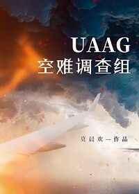 uaag空难调查组 剧透