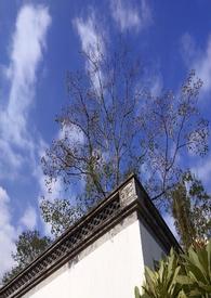 作者一念之间的